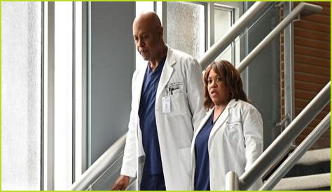The Incredible Dr. Miranda Bailey: A Journey In Grey's Anatomy